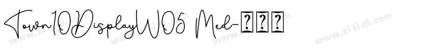 Town10DisplayW05 Med字体转换